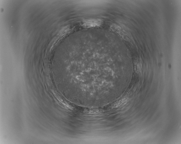 X0000070251393200606051138