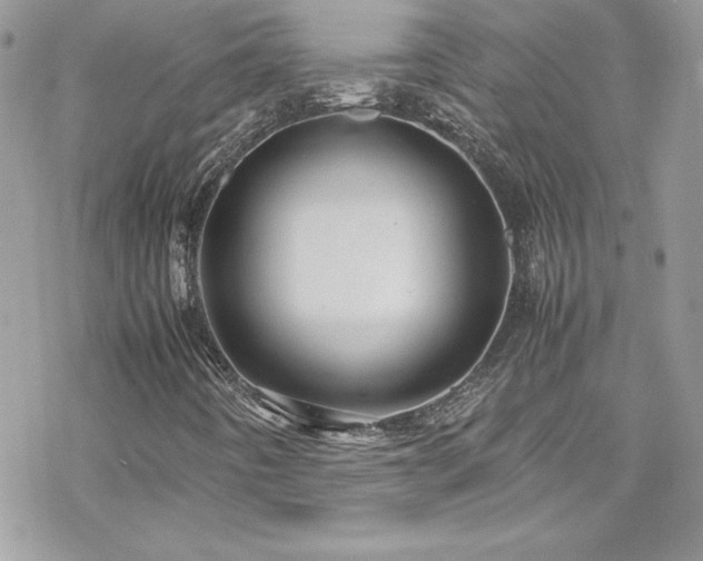 X0000070251442200606051138