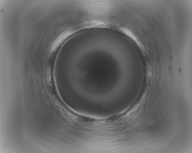 X0000070251455200606051138
