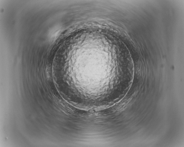 X0000070251490200606051136
