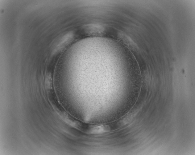 X0000070250083200606091345