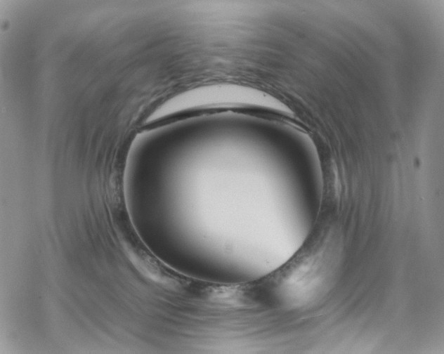 X0000070250088200606091345