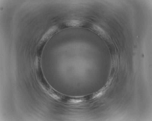 X0000070250167200606091344