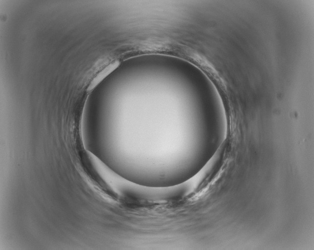 X0000070250201200606091343