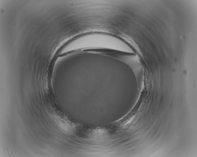 X0000070250204200606091343