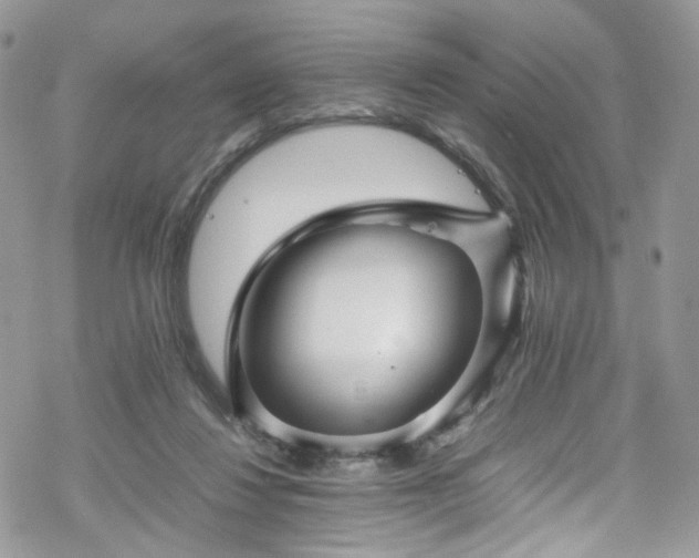 X0000070250260200606091342