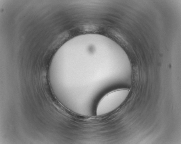 X0000070250269200606091342