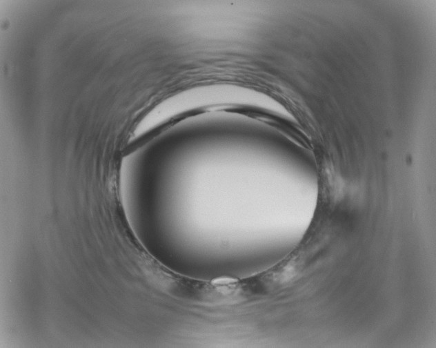 X0000070250329200606091341