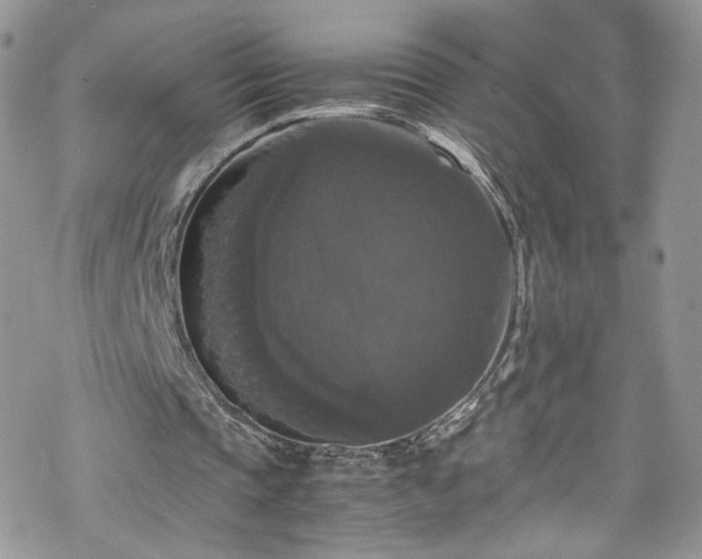 X0000070250337200606091340
