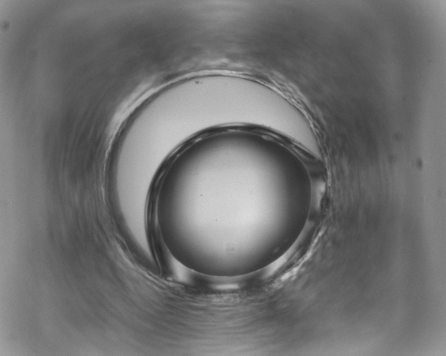 X0000070250344200606091340