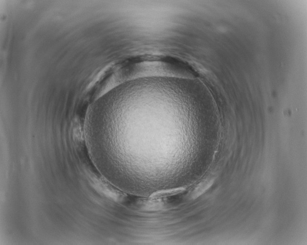 X0000070250384200606091341
