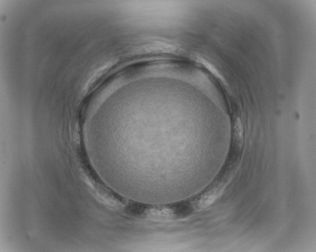 X0000070250403200606091340