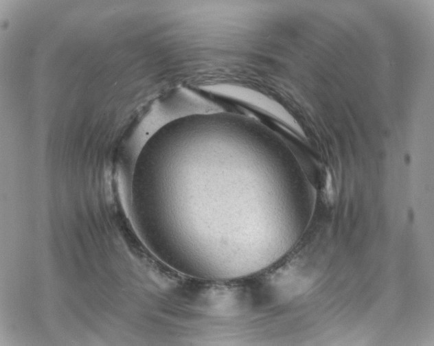 X0000070250416200606091340