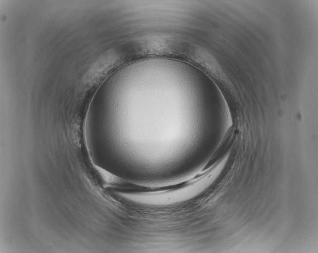 X0000070250450200606091339