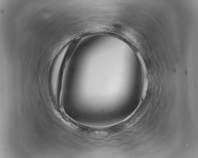 X0000070250485200606091338
