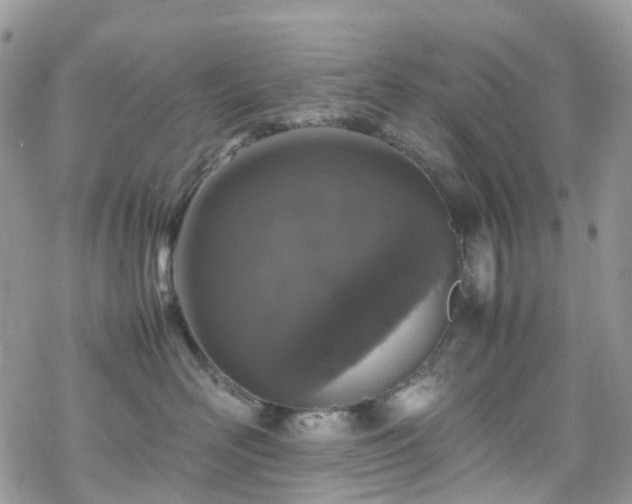X0000070250526200606091338