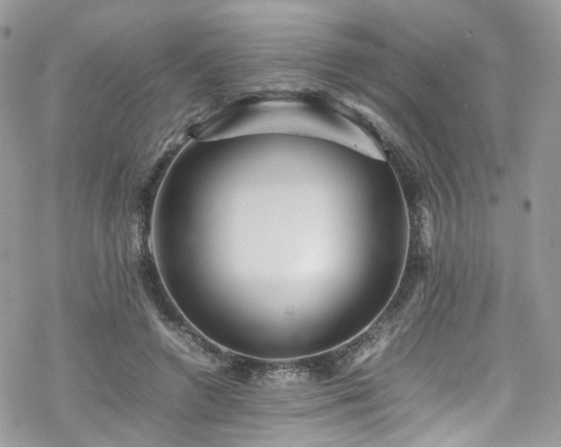 X0000070250546200606091337