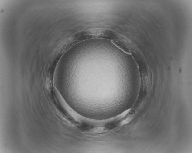 X0000070250609200606091336