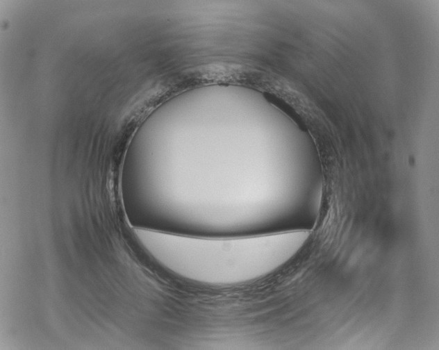 X0000070250696200606091335