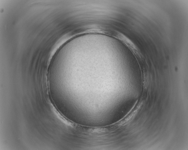 X0000070250808200606091333