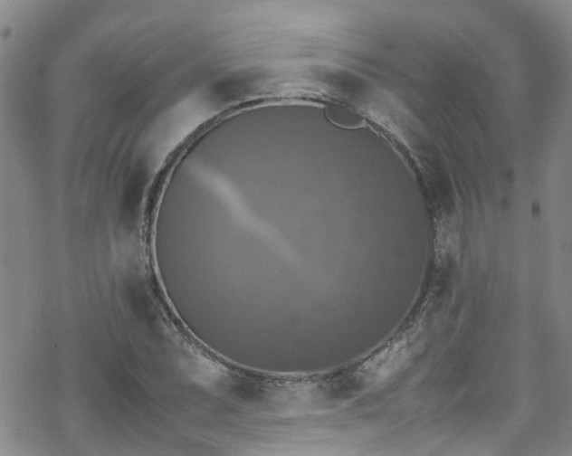 X0000070251071200606091329