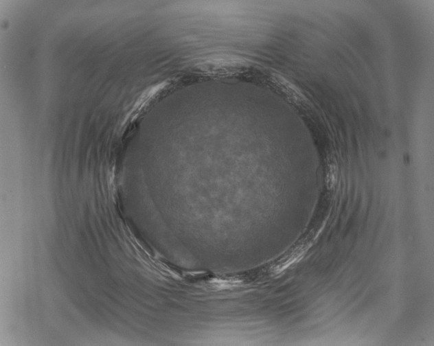 X0000070251108200606091328