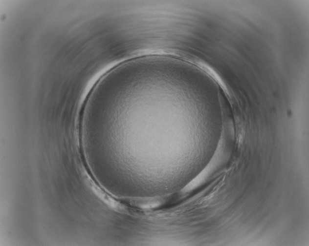 X0000070251148200606091328