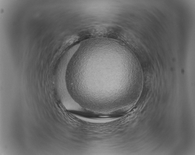 X0000070251153200606091328