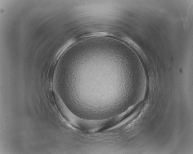 X0000070251193200606091327