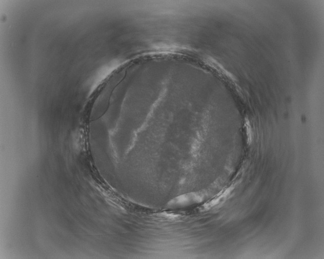 X0000070251208200606091326