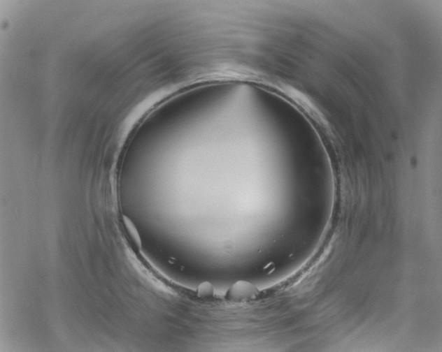 X0000070251238200606091327
