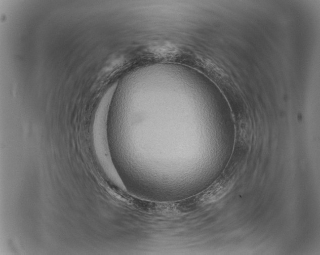 X0000070251249200606091326