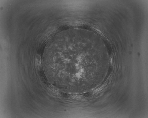 X0000070251251200606091326