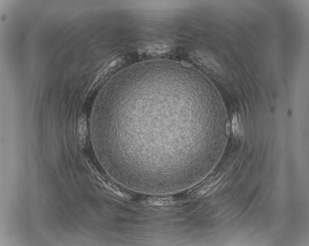X0000070251299200606091325