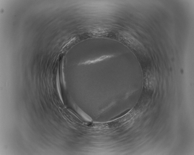 X0000070251346200606091325