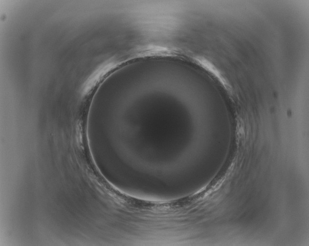 X0000070251455200606091323
