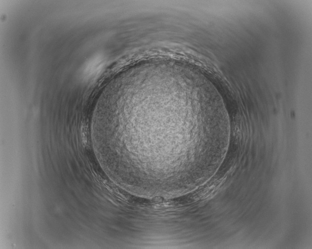 X0000070251490200606091321
