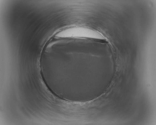 X0000070250002200606161924