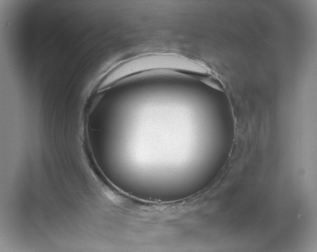 X0000070250005200606161924