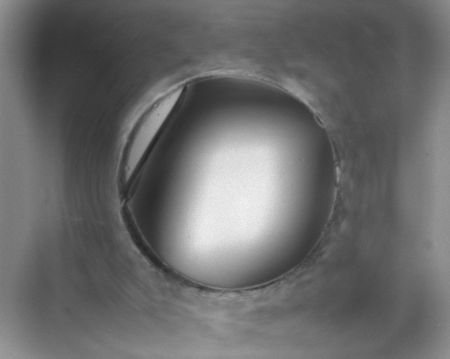 X0000070250007200606161924