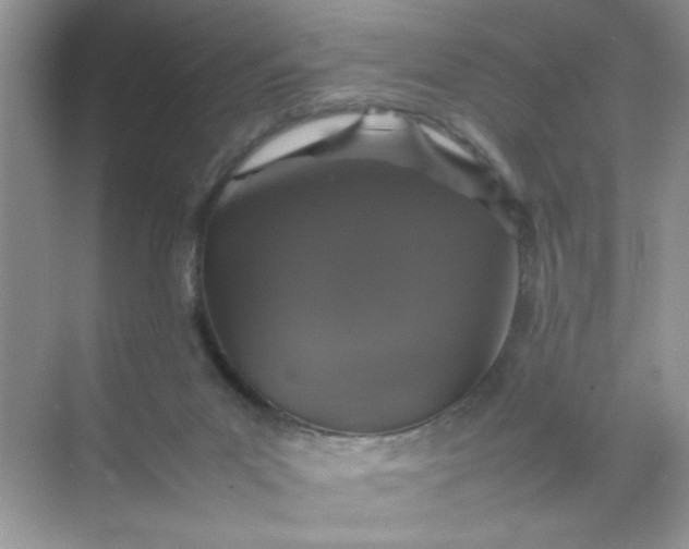 X0000070250023200606161924