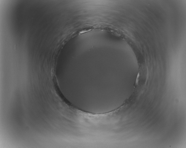 X0000070250039200606161923