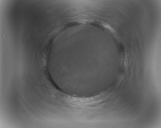 X0000070250043200606161923