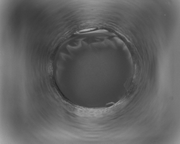 X0000070250048200606161923