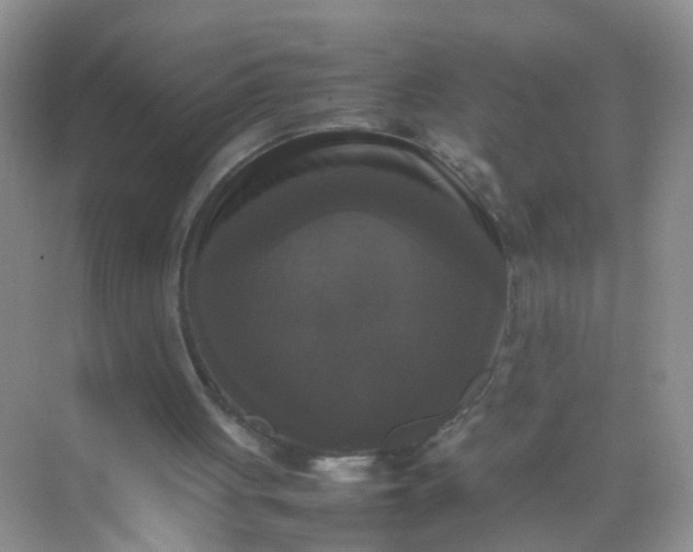 X0000070250051200606161922