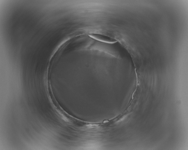 X0000070250052200606161922