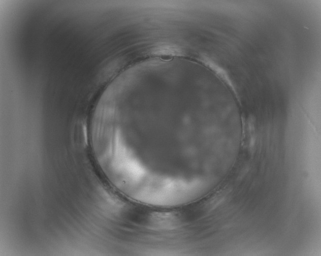 X0000070250061200606161923