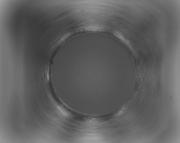 X0000070250062200606161923