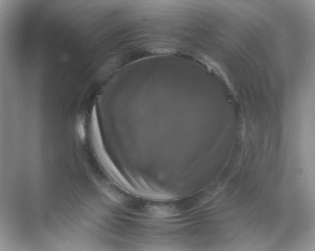 X0000070250069200606161923