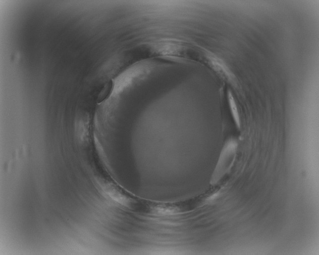 X0000070250073200606161923